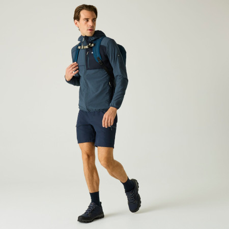 Чоловіча толстовка Regatta Alven