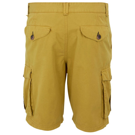 Чоловічі шорти Regatta Shorebay Shorts II