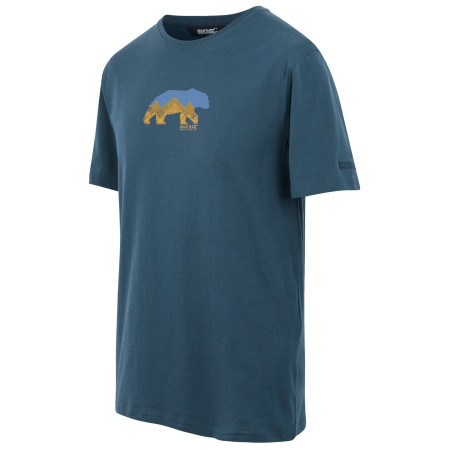 Чоловіча футболка Regatta Cline IX