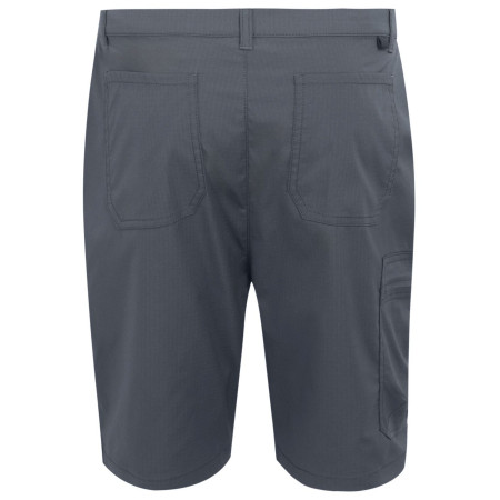Чоловічі шорти Regatta Dalry Short
