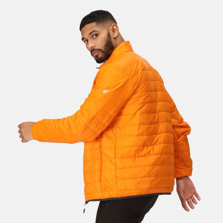 Чоловіча куртка Regatta Hillpack