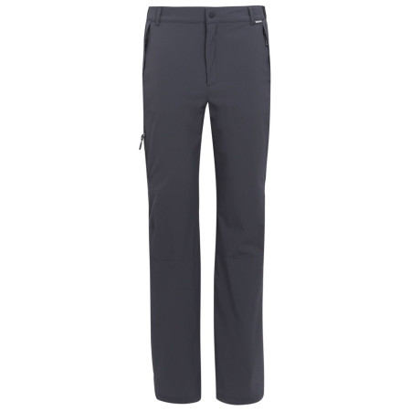 Чоловічі штани Regatta Travel Light Packaway Trousers сірий Ash