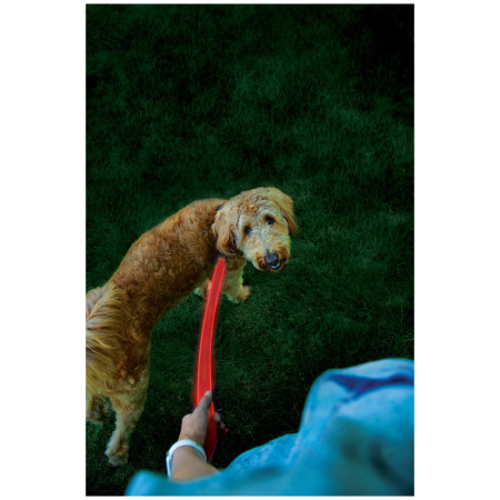 Повідець для собаки Nite Ize LED NiteDog