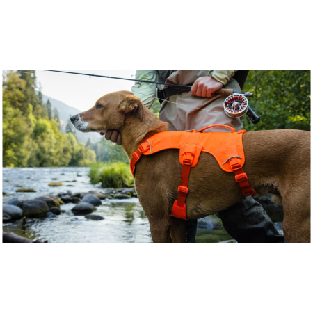 Шлея для собаки Ruffwear Web Master™ Harness