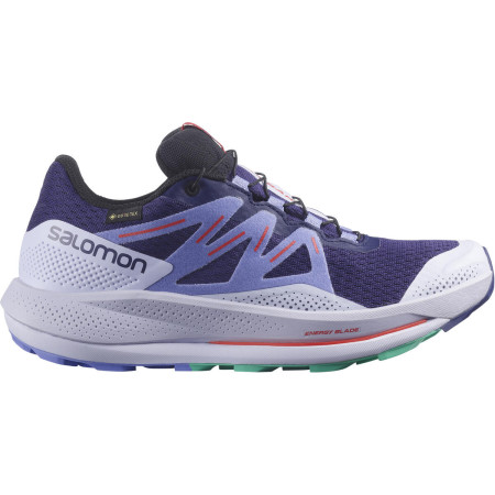 Жіночі кросівки Salomon Pulsar Trail Gtx W фіолетовий