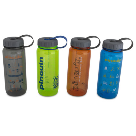 Пляшка Pinguin Tritan Slim Bottle 0,65 l