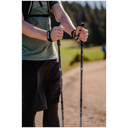 Палиці для Trail Running Warg Carbon Trailrunner 120