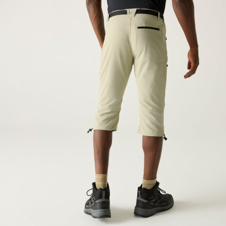 Чоловічі 3/4 штани Regatta Xert Stretch Capri