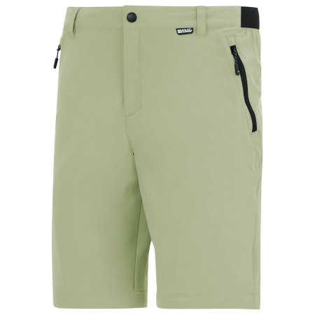 Чоловічі штани Regatta Anti-Insect Travel Light Z/O Trousers