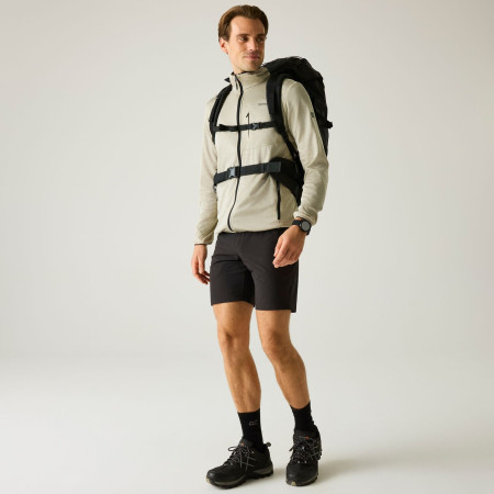 Чоловіча толстовка Regatta Hillden Midlayer