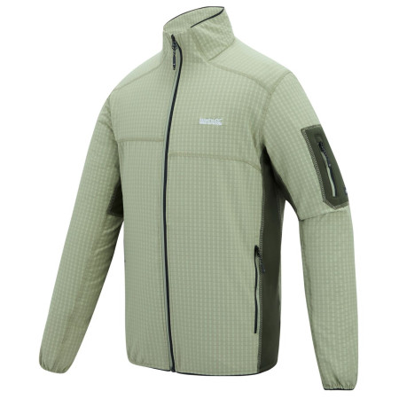 Чоловіча толстовка Regatta Baslinn