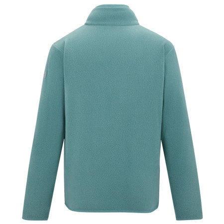 Дитяча толстовка Regatta Junior Frankie F/Z Ivy Moss