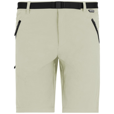 Чоловічі штани Regatta Xert Stretch Z/O Trousers