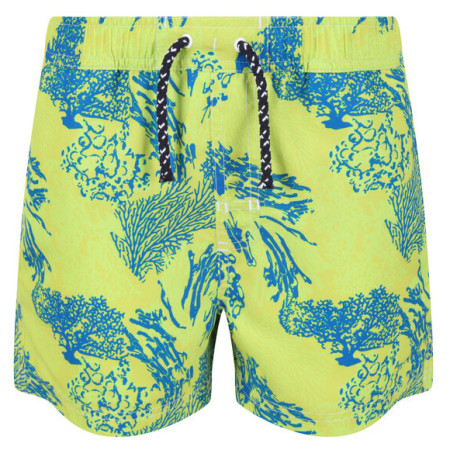 Дитячі шорти Regatta Skander II зелений/синій