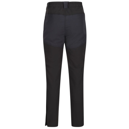 Чоловічі штани Regatta Questra IV