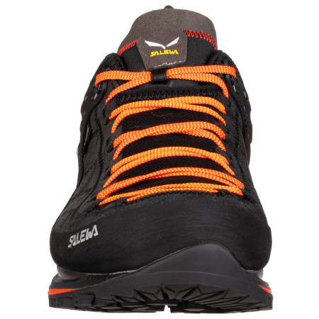 Чоловічі черевики Salewa Ms Mtn Trainer 2 Gtx