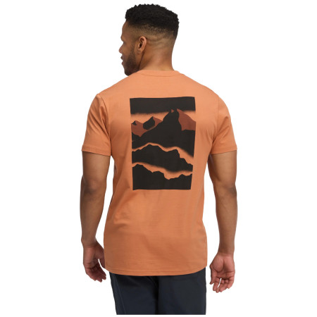 Чоловіча футболка Black Diamond M Mountainscape SS Tee