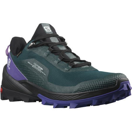 Жіночі черевики Salomon Cross Over Gore-Tex