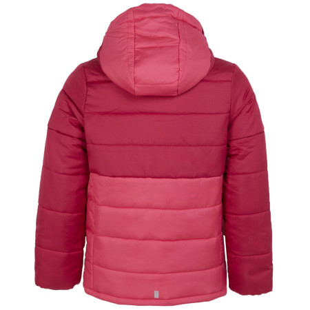 Дитяча куртка Regatta Lofthouse VIII