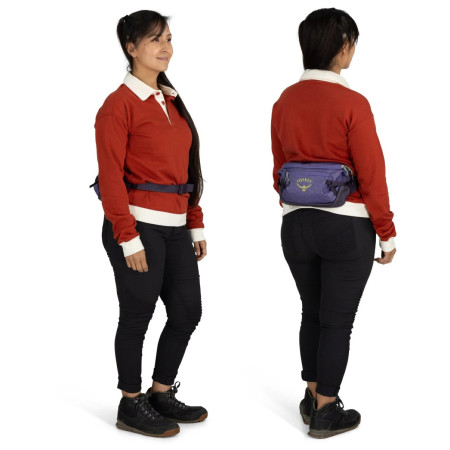 Поясна сумка Osprey Transporter Waist