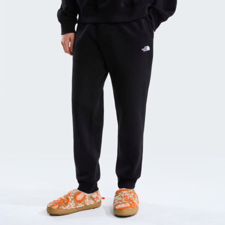 Чоловічі спортивні штани The North Face M Evolution Simple Dome Regular Jogger