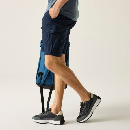 Чоловічі шорти Regatta Bendrick Shorts