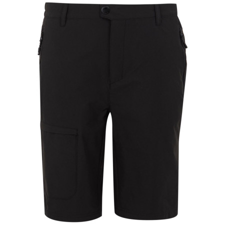 Чоловічі шорти Regatta Highton Shorts Long II