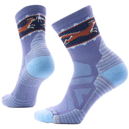 Шкарпетки Smartwool Women's Hike Light Cushion Fox Meadow Mi синій