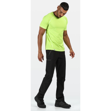 Чоловічі штани Regatta Xert Str Trs III