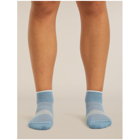 Жіночі шкарпетки Icebreaker Women Multisport Light Mini
