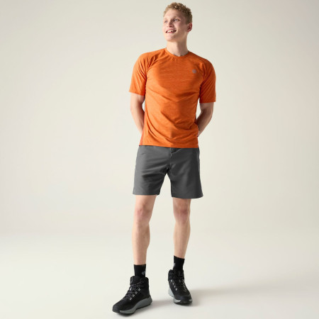 Чоловічі шорти Dare 2b Torrek II Short