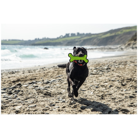 Іграшка для собак Mountain Paws Rubber Bone Dog Toy