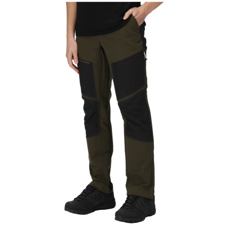 Чоловічі штани Regatta Questra IV