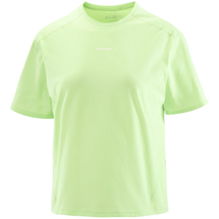 Жіноча футболка Salomon Trackline SS Tee зелений Butterfly