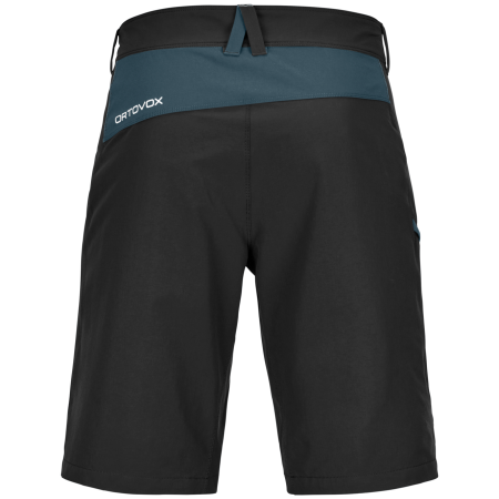 Чоловічі шорти Ortovox Pelmo Shorts M