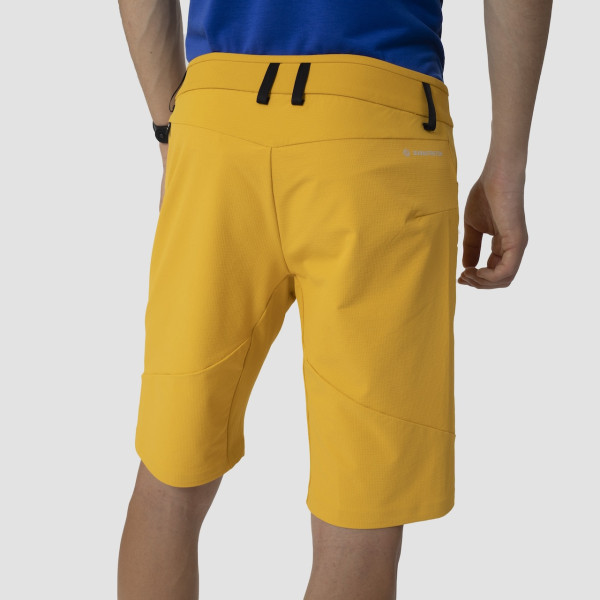 Чоловічі шорти Salewa Agner Dst M Shorts.