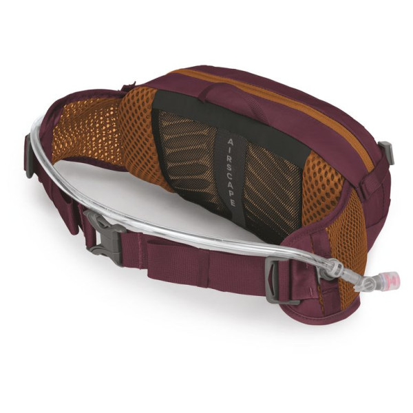 Поясна сумка Osprey Seral 4