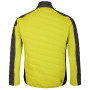 Чоловіча куртка Dare 2b Descending Jacket