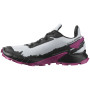 Жіночі черевики Salomon Alphacross 4