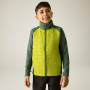 Дитяча куртка Regatta Boys Trekktain 3-in-1 II DrkForGlac