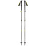 Трекінгові палиці Black Diamond Distance Plus FLZ 125 cm