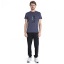 Чоловіча функціональна футболка Icebreaker Men Merino Core SS Tee Waschbar Wandering
