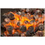 Брикети для грилю CasusGrill Bamboo Charcoal Briquettes