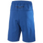 Чоловічі шорти Helly Hansen Move Sweat Shorts