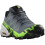 Чоловічі кросівки Salomon Speedcross 6 Gore-Tex сірий Flint Stone / Green Gecko / Black