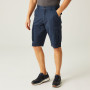 Чоловічі шорти Regatta Shorebay Short