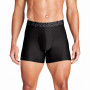 Чоловічі боксери Under Armour Perf Tech 6in