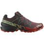 Чоловічі черевики Salomon Speedcross 6