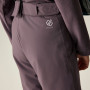 Дитячі зимові штани Dare 2b Outmove III Insulated Pant Huckleberry