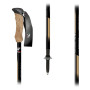 Трекінгові палиці Fizan Compact Tech